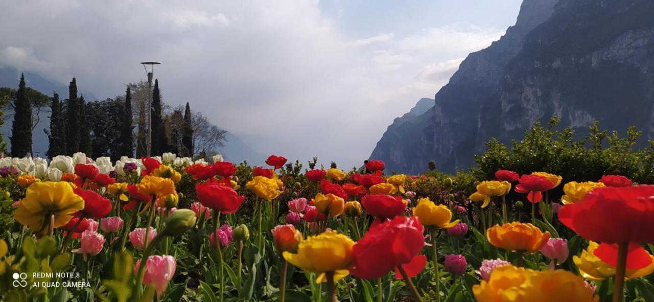 Casavarone Riva del Garda Eksteriør billede